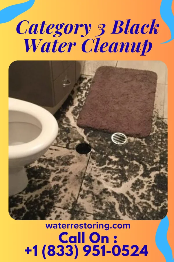Category 3 Black Water Cleanup in Sodaville, OR